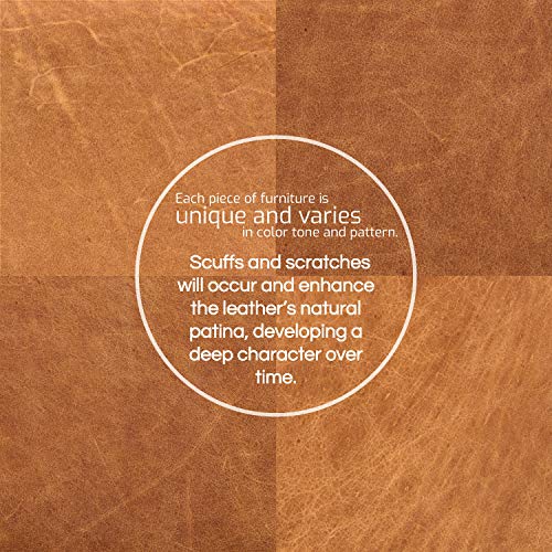 Poly & Bark Napa Leather Couch