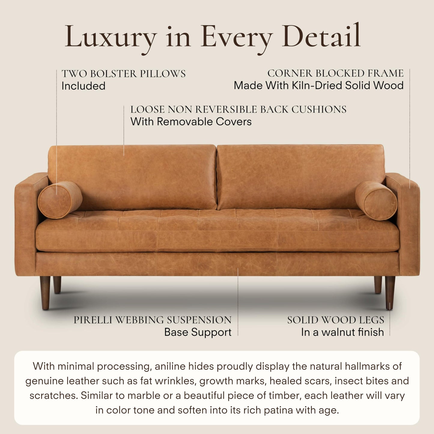 Poly & Bark Napa Leather Couch