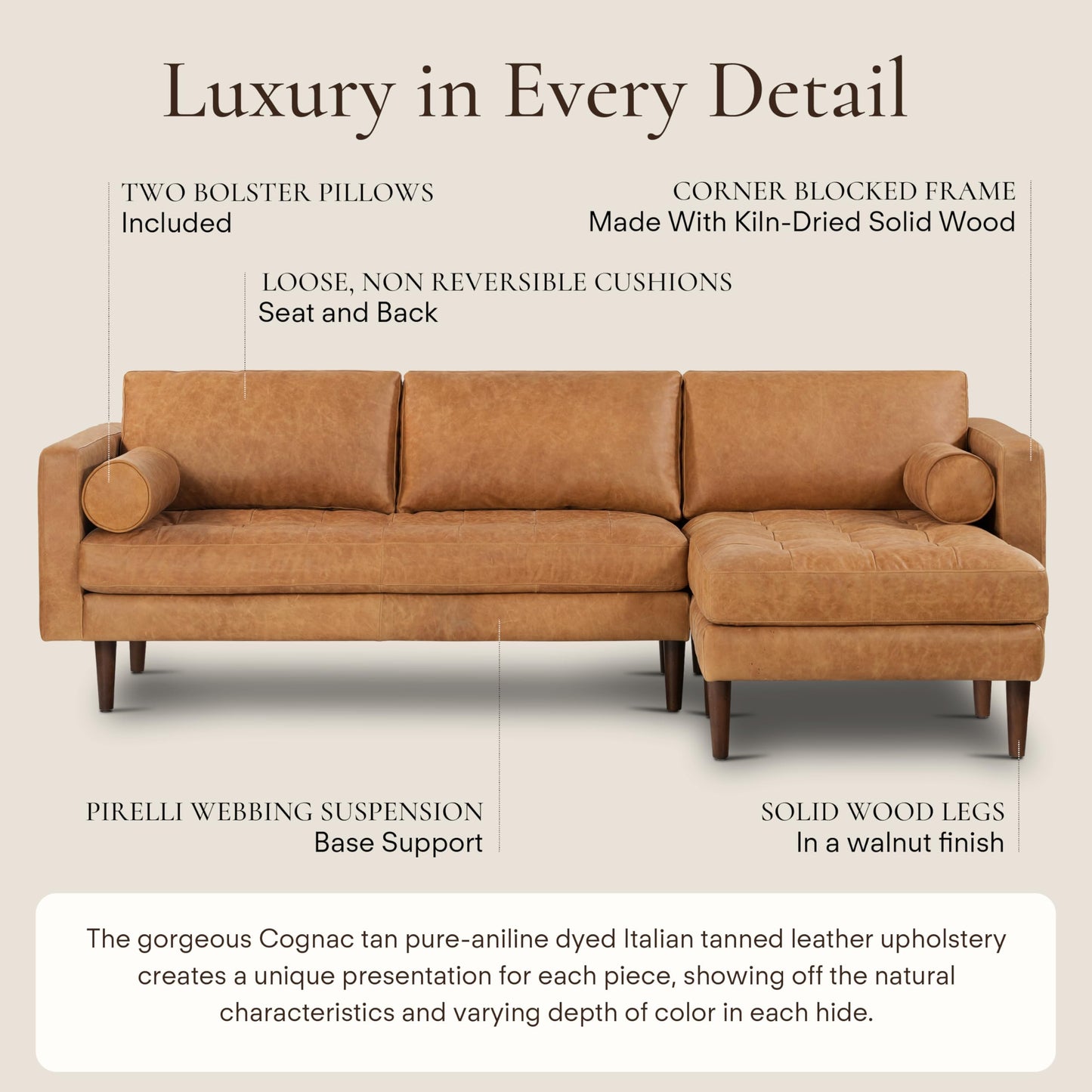 Poly & Bark Napa Leather Couch