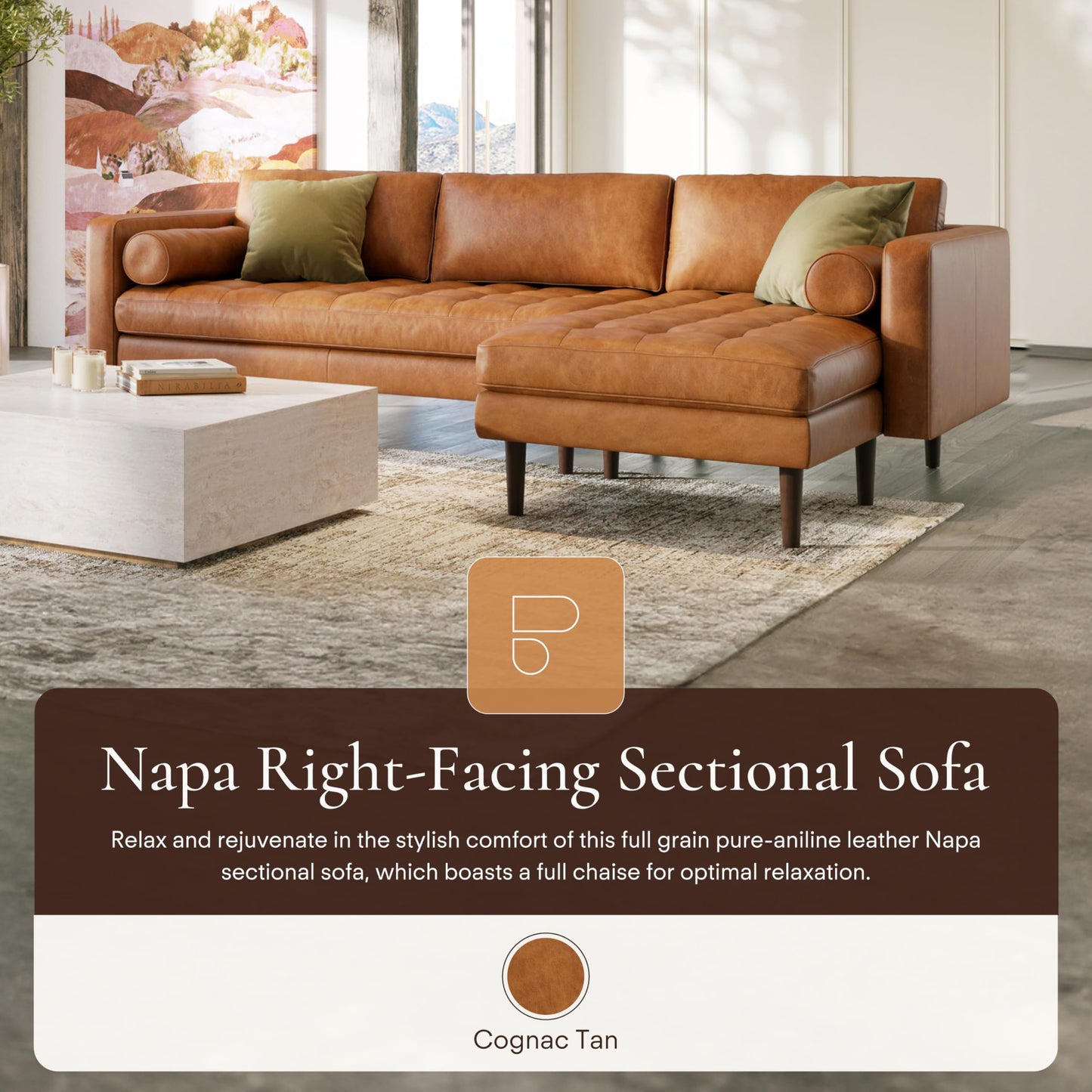 Poly & Bark Napa Leather Couch