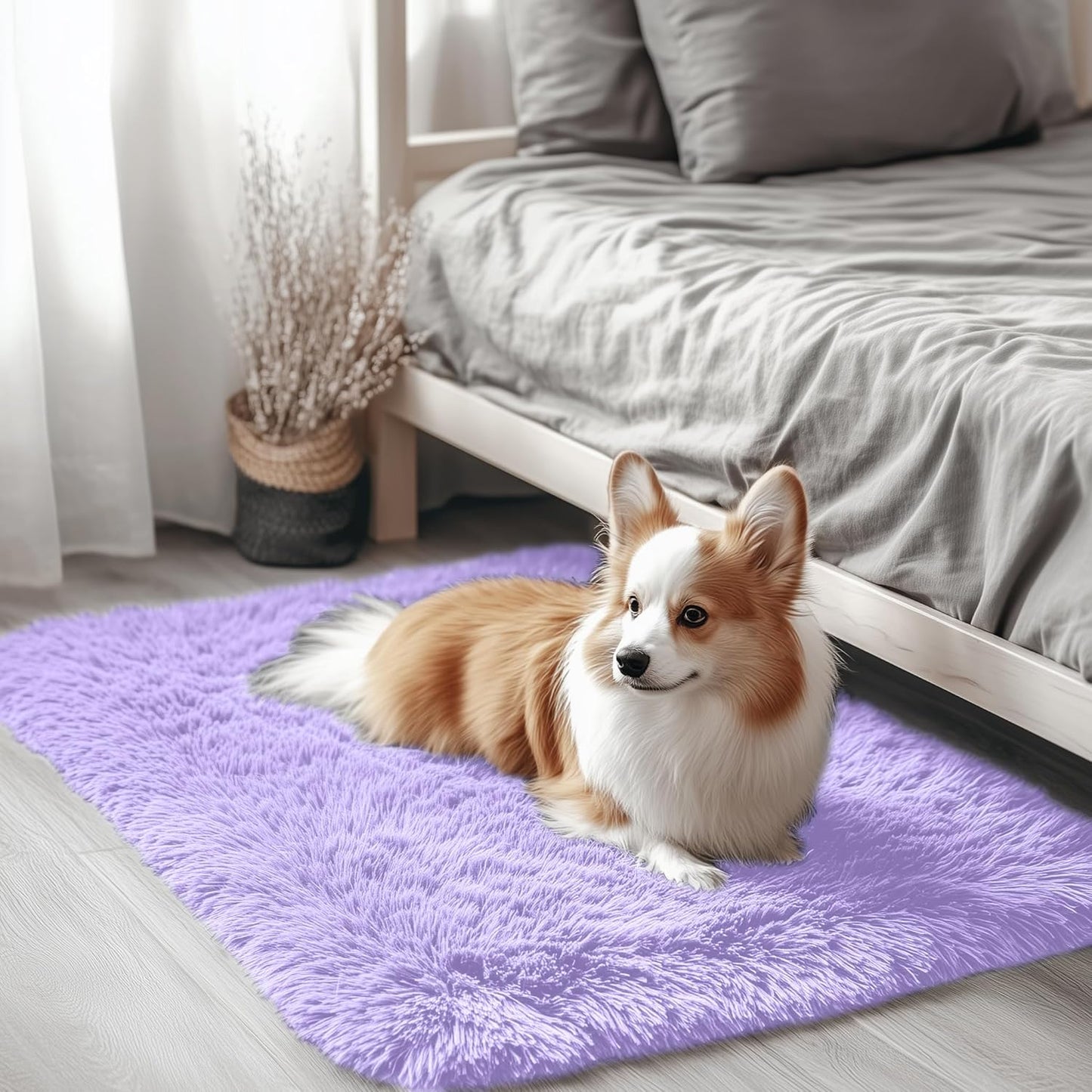 OLANLY 4x5.9 Grey Shag Rug